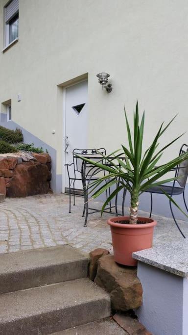 Ferienwohnung Talblick Im Schwarzwald Seelbach  Exterior photo