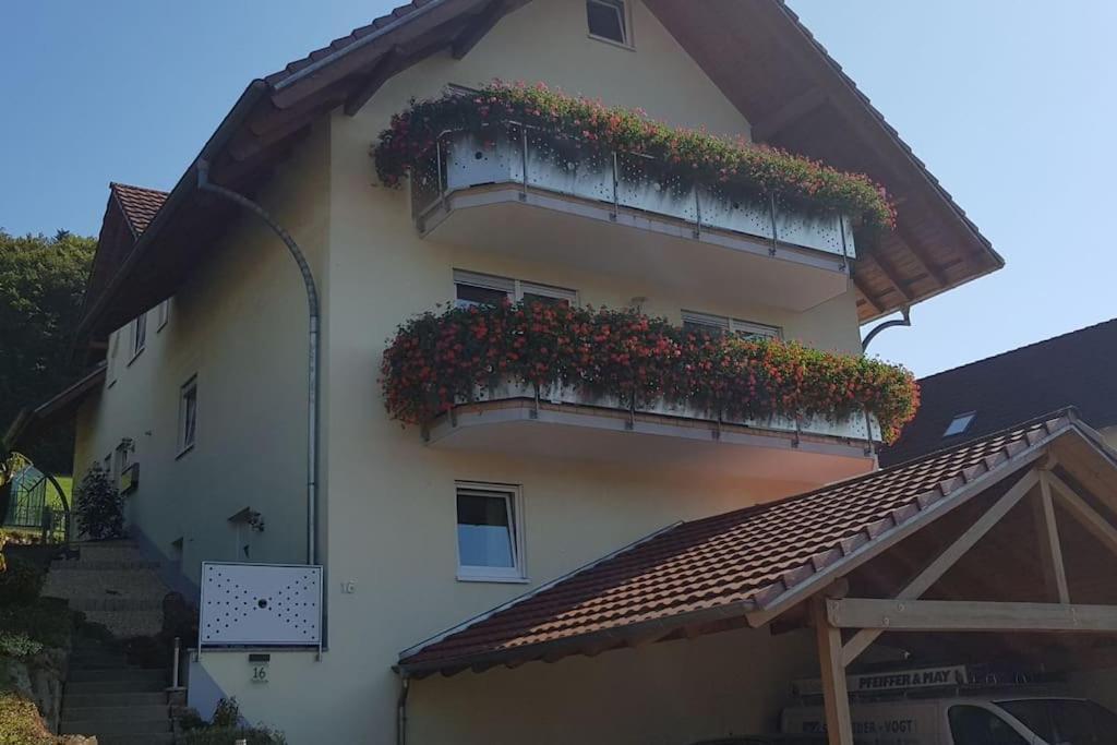 Ferienwohnung Talblick Im Schwarzwald Seelbach  Exterior photo